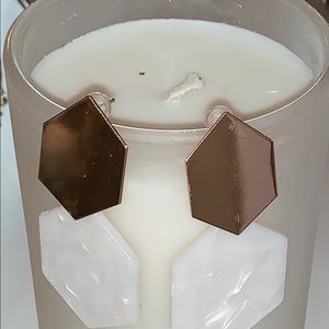 Luxurious Statement Earrings NWT